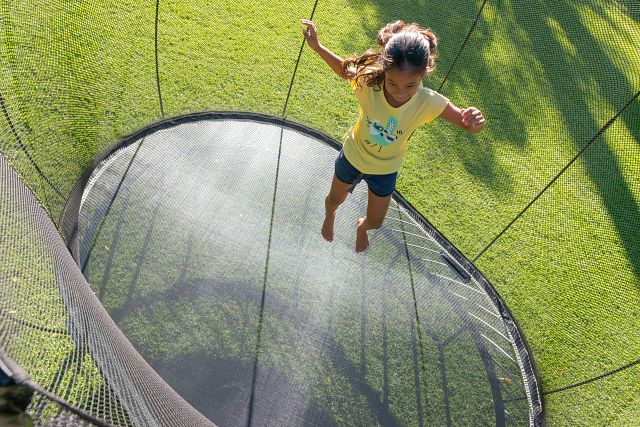 Medium Oval Trampoline O77